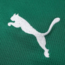 Camisa Palmeiras 2026/27 – Titular – Verde